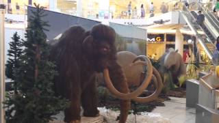 Aberdeen Centre Ice Age Animals pt2 Aug 2015 [upl. by Dnilasor762]