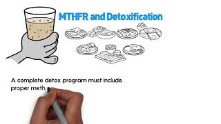 What is MTHFR MTHFR Mutation Explained  MethyleneTetraHydroFolate Reductase [upl. by Ahasuerus]