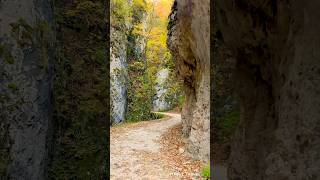 Decor autumnal Între Prăpăstii Piatra Craiului travel nature mountains beautiful mabuztravel [upl. by Fellows406]