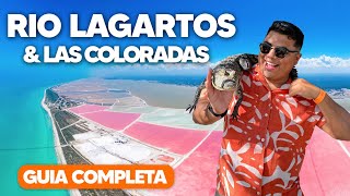 LAS COLORADAS 🇲🇽 RIO LAGARTOS YUCATAN ✅ GUIA COMPLETA 🔴 Que hacer donde hospedarse  Mexico [upl. by Aiciles370]