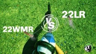 22 Magnum vs 22 LR Which is Better [upl. by Rabah4]