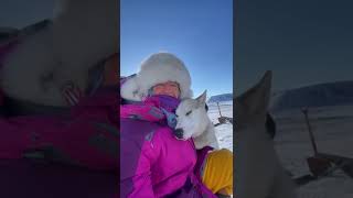 PROMENADE EN TRAÎNEAU À SVALBARD  NORVÈGE [upl. by Enatan]