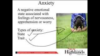 What is arousal anxiety and stress [upl. by Cuttler832]