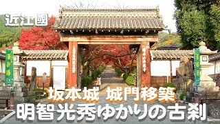 明智光秀 ゆかりの古刹 西教寺 videopagenet [upl. by Onfroi]