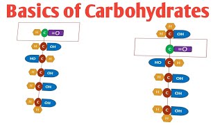 Basics of Carbohydrates Introduction to Carbohydrates Structure of Monosaccharides [upl. by Benton443]