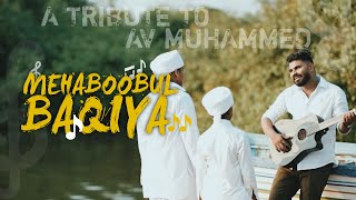 Mehaboobul baqiya  AV muhammed  Shabeeb sha  2024  Cover song [upl. by Camus]