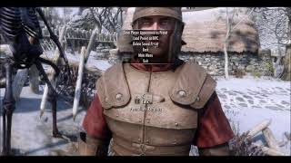 Skyrim New InGame NPC Editor That Does So Much More [upl. by Assilem]