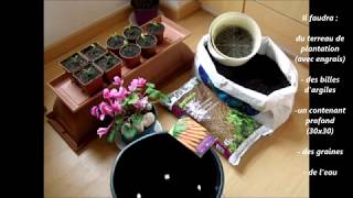 COMMENT FAIRE UN SEMIS DE CAROTTES EN POT POUR BALCON [upl. by Garceau585]