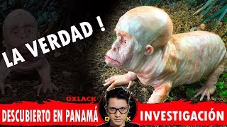 PANAMA EN PÁNICO POR ESTA CRIATURA DESCUBIERTA LA VERDAD OxlackCastro [upl. by Ahsit]