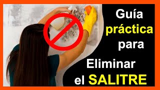 Cómo combatir el SALITRE💦 de forma efectiva PROBADO 100 💪 [upl. by Inva]