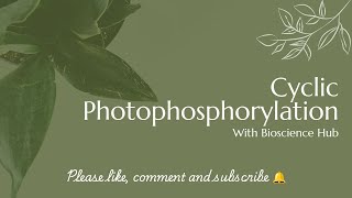 Cyclic Photophosphorylation [upl. by Diet54]