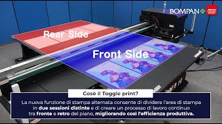 Mimaki JFX6002531  Funzione di stampa alternata [upl. by Ribble]