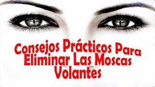 Como Eliminar Las Moscas Volantes  Consejos Prácticos y Sencillos [upl. by Niwle466]