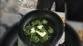 EatWild Fiddleheads  How to pick and cook fiddleheads with Chef Whittaker [upl. by Ahsets]