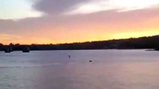 New footage of Champ the Lake Champlain Monster [upl. by Imtiaz840]