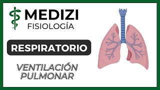 Clase 37 Fisiología Respiratoria  Ventilación Pulmonar IGdoctorpaiva [upl. by Kancler201]