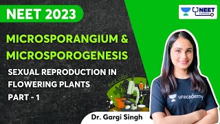 Microsporangium and Microsporogenesis  Part  1  NEET 2023  Dr Gargi Singh [upl. by Oriane]