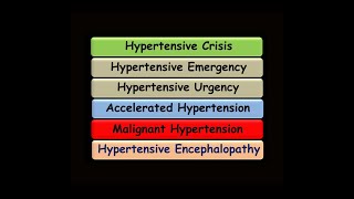 Hypertensive Crisis  Hypertensive Emergency  Accelerated Hypertension  Malignant Hypertension [upl. by Notlew273]