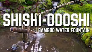 Enchanting shishi odoshi sound  japanese bamboo water fountain sound deer chaser 鹿威しの音 ASMR [upl. by Itsud]