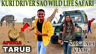 KURI DRIVER SAO WILD LIFE SAFARI SEN HUIANA LENA  SANTAL IN AFRICA labahansda [upl. by Pierro]