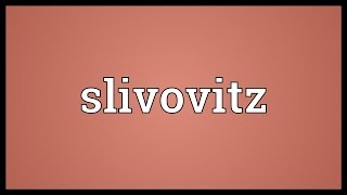 Slivovitz Meaning [upl. by Maurita703]