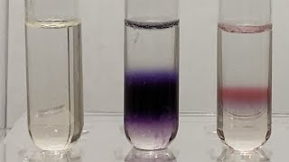 Molischs Test for Carbohydrates 20 [upl. by Llehsim]