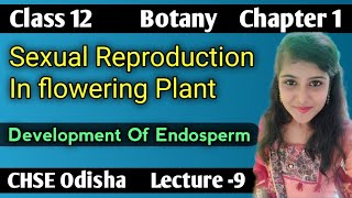 Development Of Endosperm Sexual Reproduction In Flowering Plant Lecture 9 CHSE Odisha [upl. by Gavrah]