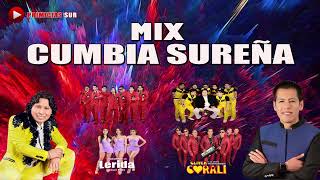 MIX CUMBIA SUREÑA [upl. by Linskey516]