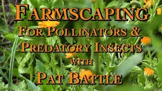 Farmscaping for Pollinators amp Predatory Insects [upl. by Nomae478]