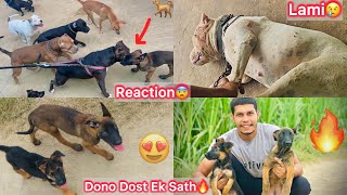 Chintu Or Uska Chote Dost Ko Ek Sath Le Gye😍 Chota Packet Vs Chota Chintu😨 Lami Ko Kya Hua😢 [upl. by Thedric420]