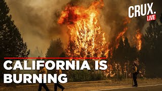 California Wildfires Live News  Aerial Footage Shows Scale Of Devastation In Ventura County [upl. by Nayhr]