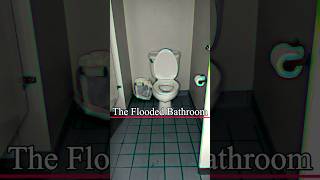 The Flooded Bathroom [upl. by Aneerahs]