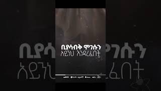 Aster Abebe  NEW ALBUM  Fera Frehateፈራ ፍርሀቴ  Hallelujah ሃሌሉያshorts [upl. by Aniahs172]