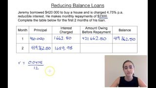 Reducing Balance Loans [upl. by Gradeigh]