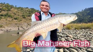 Catch Big Golden Mahseer  Mahseer Fishing at Poonch River  डोरी में एक बहुत बड़ी मछली बंधी हुई थी [upl. by Johnson]