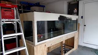 BEST 300g DIY PLYWOOD AQUARIUM BUILD  HONEST DESCRIPTIONS [upl. by Grose]