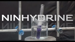 Ninhydrin synthesis Amino acid reagent [upl. by Charlie]