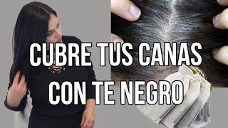 Poderoso Tinte natural para Teñir el cabello sin maltratarlo  aprende a prepararlo [upl. by Adnomar]