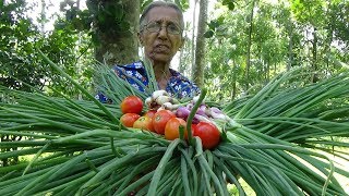 Village Food ❤ Spring Onion Stir Fry Recipe by Grandma [upl. by Allisirp]