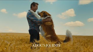 A Dogs Journey 2019 Movie  Kathryn Prescott Dennis Quaid  A Dogs Journey Movie Full FactsReview [upl. by Assiluj571]