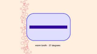 How to Sequence a Genome 4 E Coli Storage [upl. by Klute]