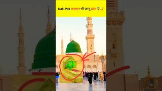 1400 Saal Pehle Hi Nabi ﷺ Ne Bata Diya 😱 irfanislamviralirfanislam786k shorts [upl. by Drais]