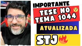 🔴😱 DECISÃO MAIS IMPORTANTE EM PROCESSO CIVIL ATÉ AGORA TEMA 1044 STJ 🔴 [upl. by Aihsiek]