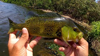 Pesquei tucunaré e fiz moqueca de peixe no fogão a lenha  Pescaria 37 [upl. by Eixel746]