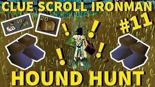 InDepth Hard Clue Scroll Guide 27 Clueshr Runescape 3 My Setup amp How I solve each step [upl. by Anyale534]