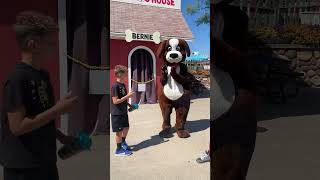 Big Dawgs at Adventureland Park shortsvideos shorts [upl. by Brina818]