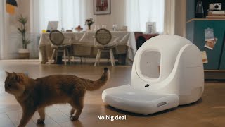 Catlink LiteNew Gen PremiumampAffordable Litter Box [upl. by Ferullo]