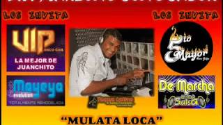 Mulata Loca  Sonolux  Dj Marlong Son Sabor 2011 [upl. by Kori113]