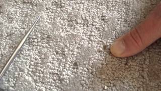 Carpet Tuft repair with Mikey P brand new wool1 [upl. by Ebneter]