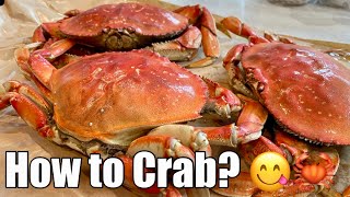 Dungeness crab Oregon’s most lucrative fishery  Pacific Northwest food  Superabundant S2 E1 [upl. by Hinkel]